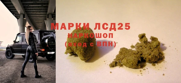 дживик Богородицк