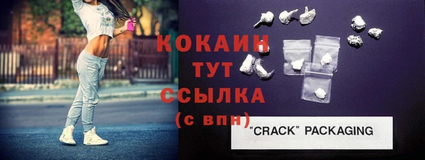 дживик Богородицк