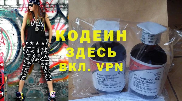 дмт Богданович