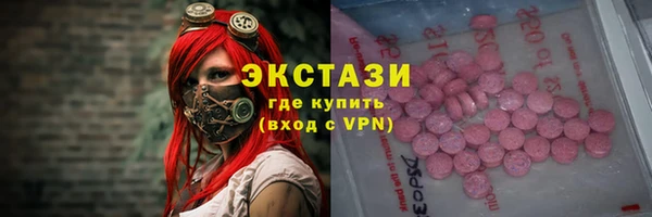 дмт Богданович