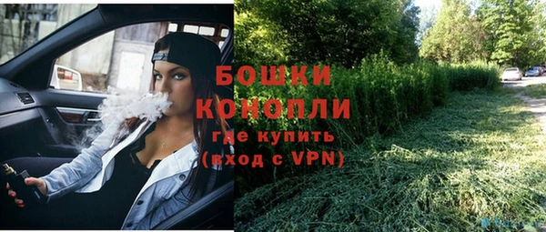 дмт Богданович
