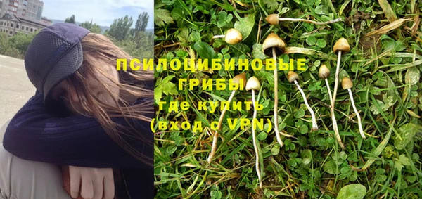 дмт Богданович