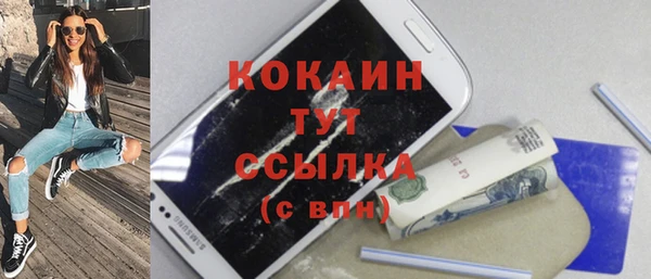 дживик Богородицк