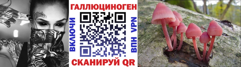 купить наркотики цена  Ковдор  Галлюциногенные грибы прущие грибы 